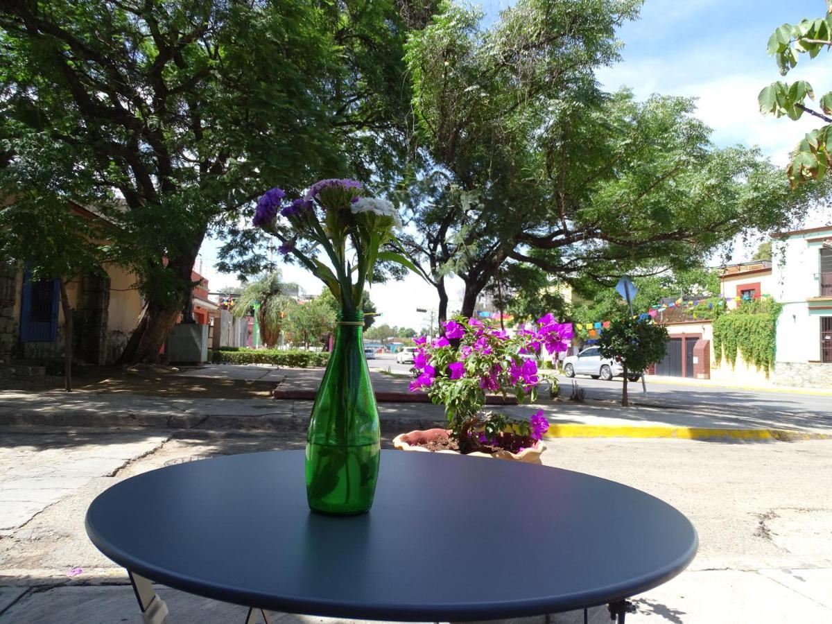 Alojamiento Jalatlaco - Car Rental! Estacionamiento En La Calle Sujeto A Disponibilidad Oaxaca Exterior foto